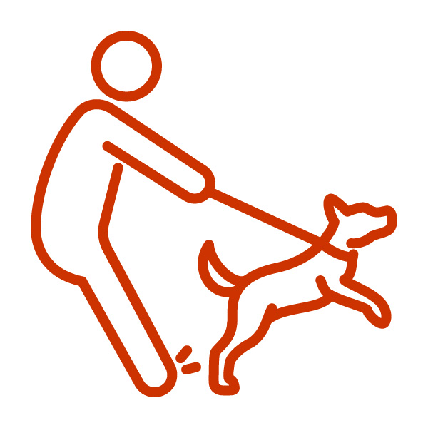 A dog jumping and pulling on leash