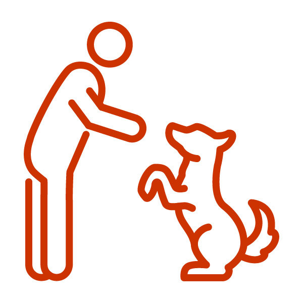 person extending hand towards dog while dog sits with paws up